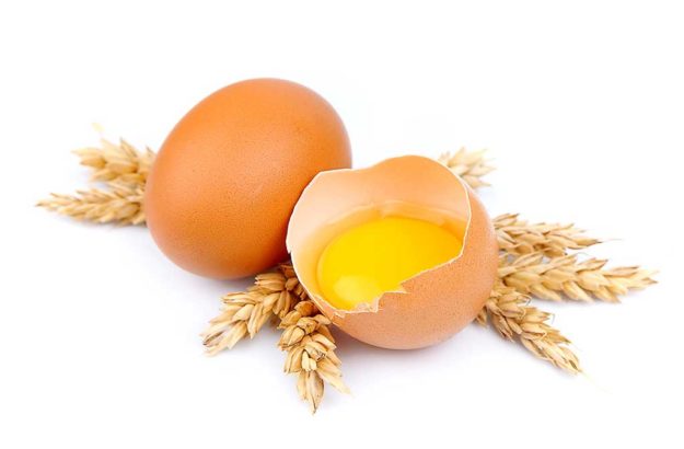 Fresh eggs and wheat Fresh eggs and wheat cones on a white background
