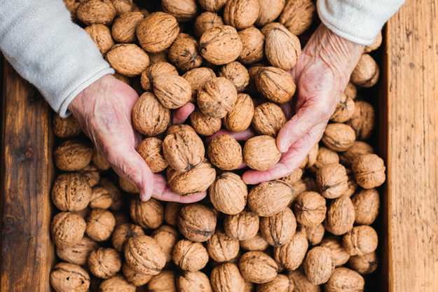 Health Benefits Of Walnuts For Seniors