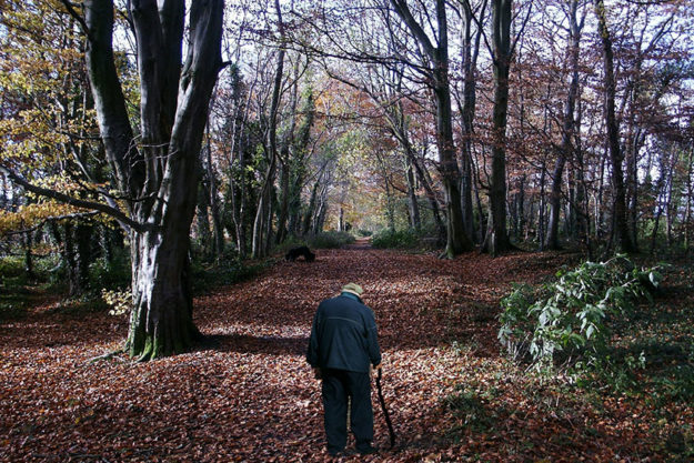 The Danger Of Alzheimer’s Wandering And How To Prevent It The Danger Of Alzheimer’s Wandering And How To Prevent It