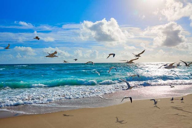 Singer Island beach at Palm Beach Florida US Singer Island beach at Palm Beach Florida US