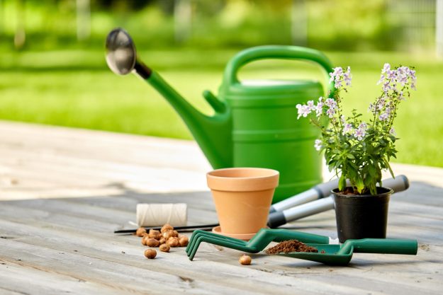 Gardening,,Farming,And,Planting,Concept, ,Watering,Can,,Garden,Tools, Gardening,,Farming,And,Planting,Concept, ,Watering,Can,,Garden,Tools,